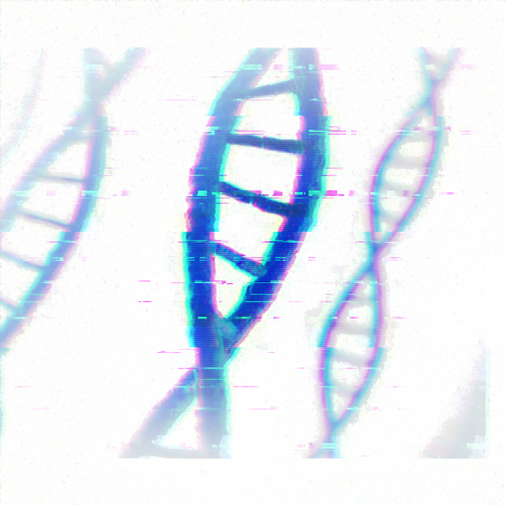 Scientific Project
