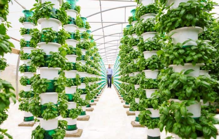 BOLD Developments in Agritech