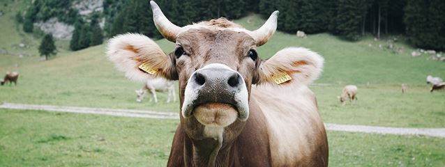 Smart Farming, or the Future of Agriculture