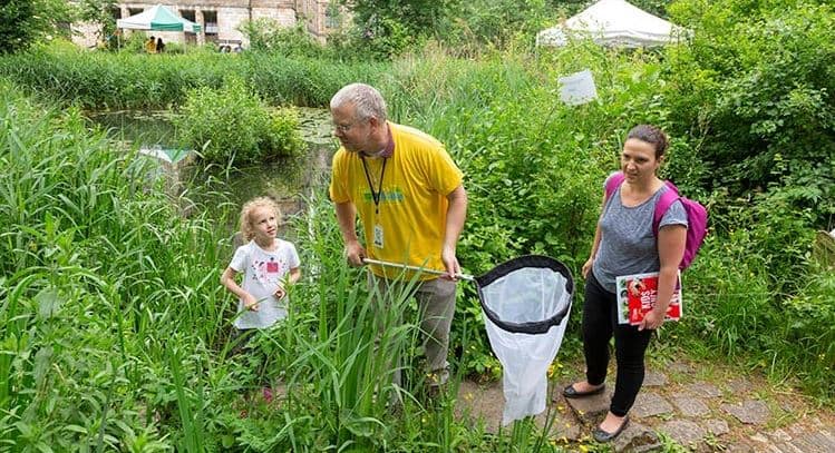 Crowdsourcing Citizen Scientists Feeds BOLD Scientific Developments